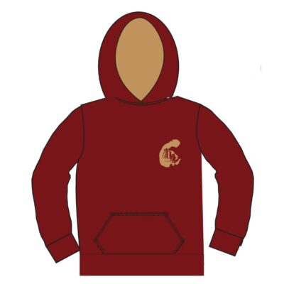 Sudadera Capucha